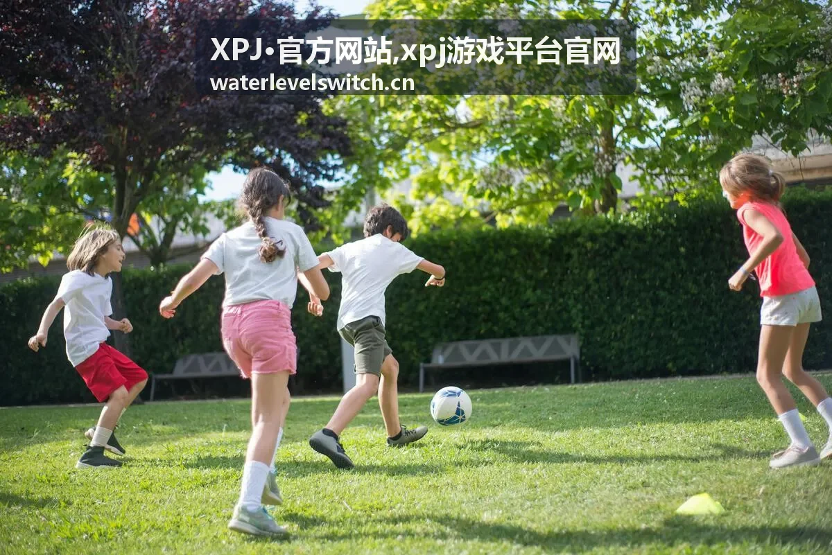 XPJ·官方网站访问帮助说明图